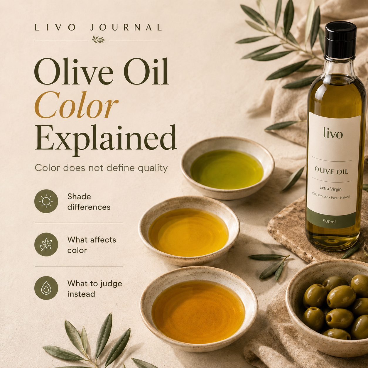 Olive Oil Color Explained