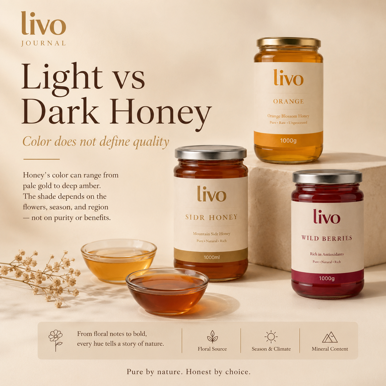 Light vs Dark Honey